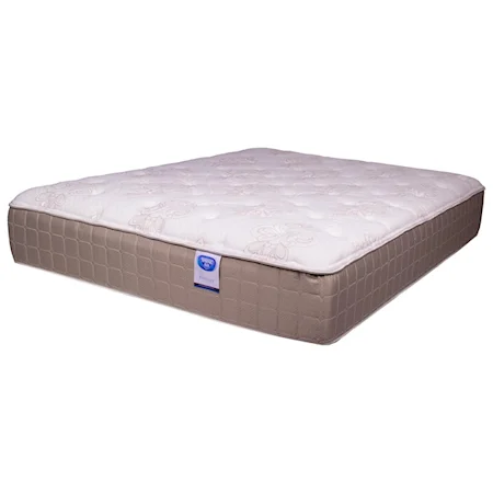 Queen 13" Plush Mattress